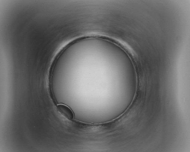 X0000111491279200907211001