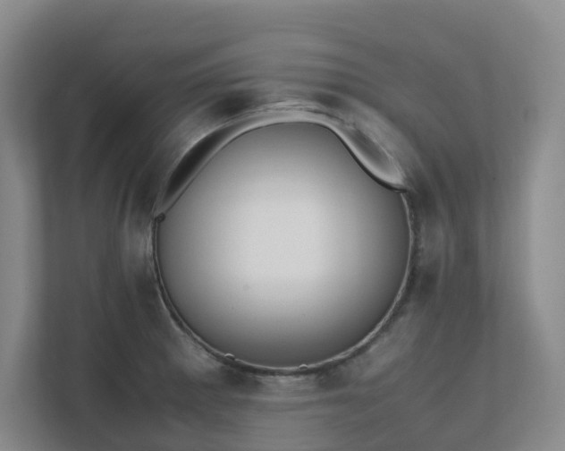 X0000111491281200907211001