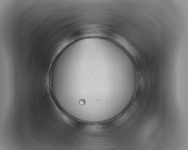 X0000111491282200907211001