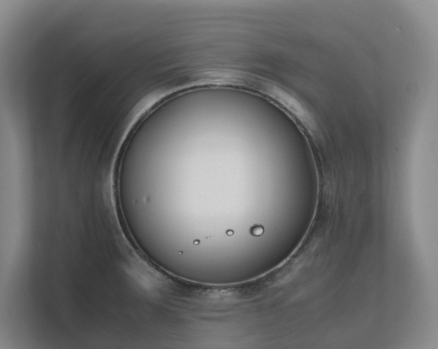 X0000111491283200907211001