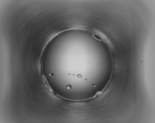 X0000111491284200907211001