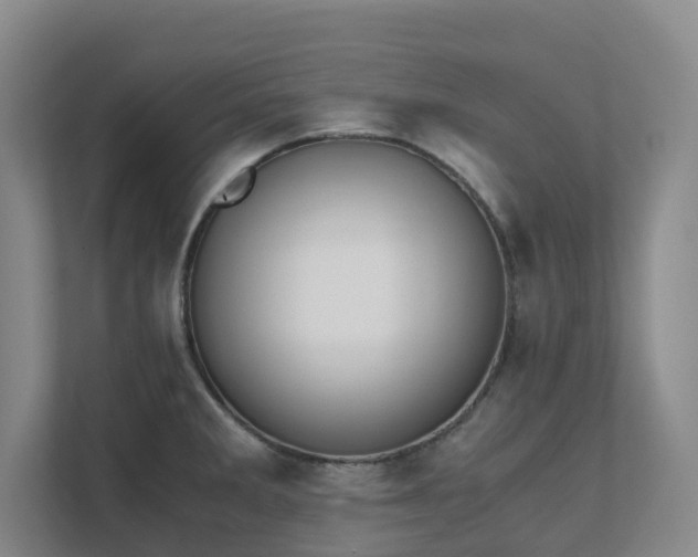 X0000111491285200907211001