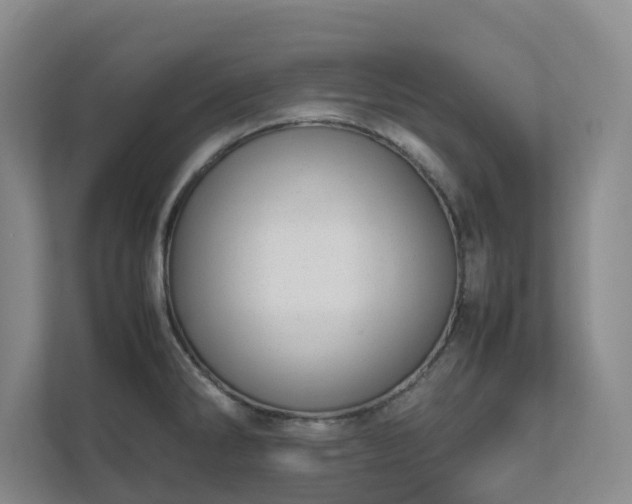 X0000111491286200907211001