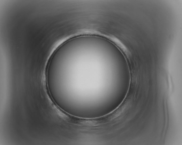 X0000111491287200907211001