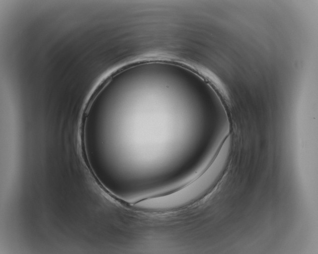 X0000111491288200907211001