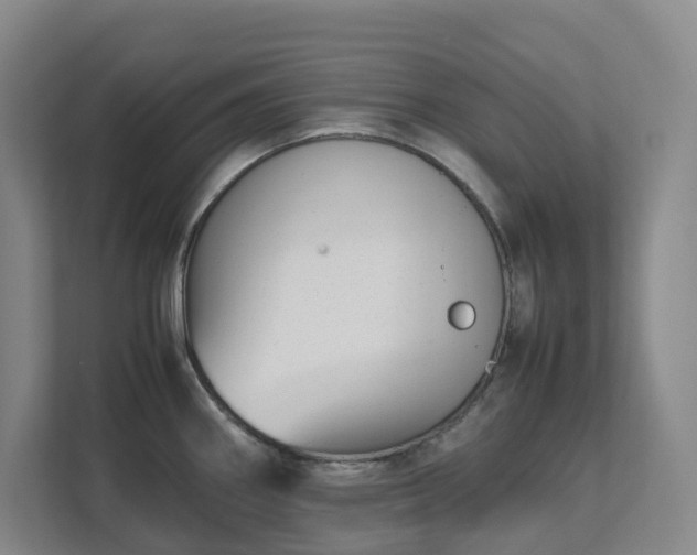 X0000111491290200907211001