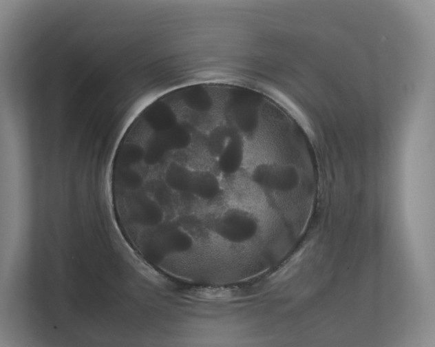 X0000111491291200907211001