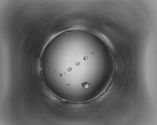 X0000111491292200907211001