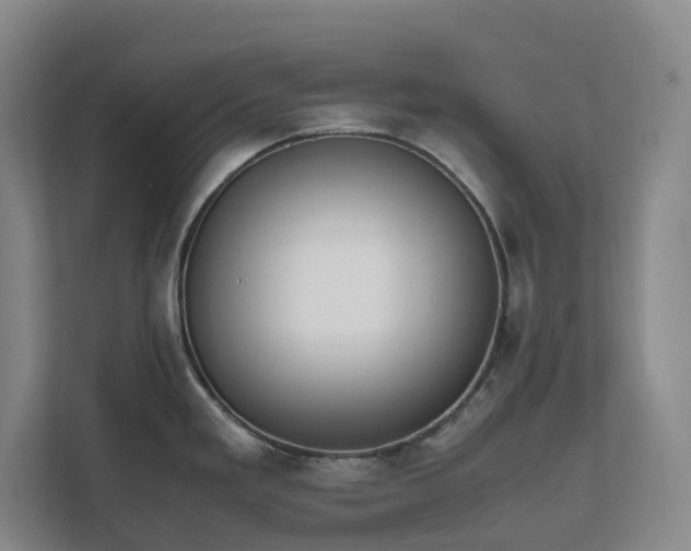 X0000111491293200907211001