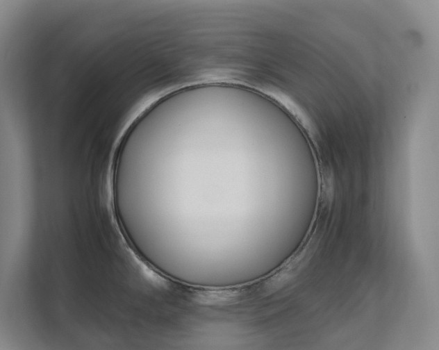 X0000111491294200907211001