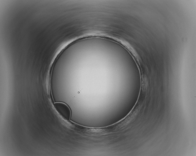 X0000111491295200907211001