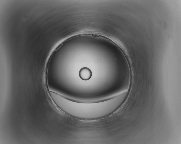 X0000111491296200907211001