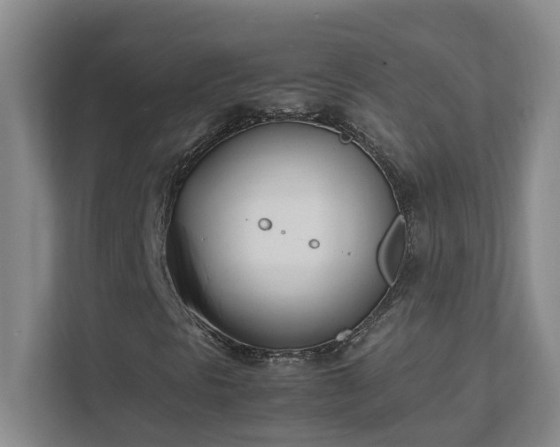 X0000111491297200907211000