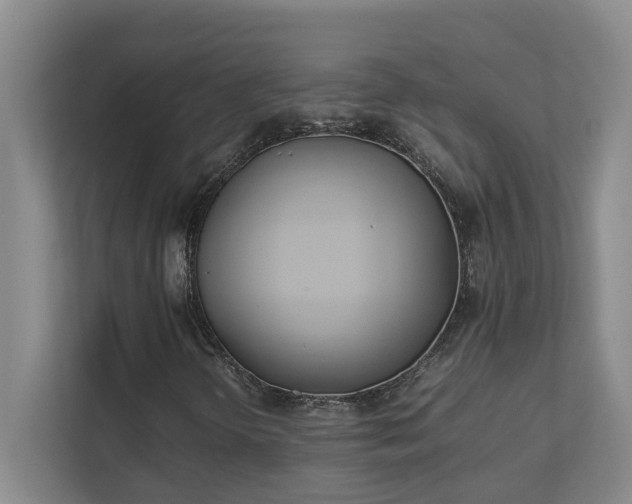 X0000111491298200907211001