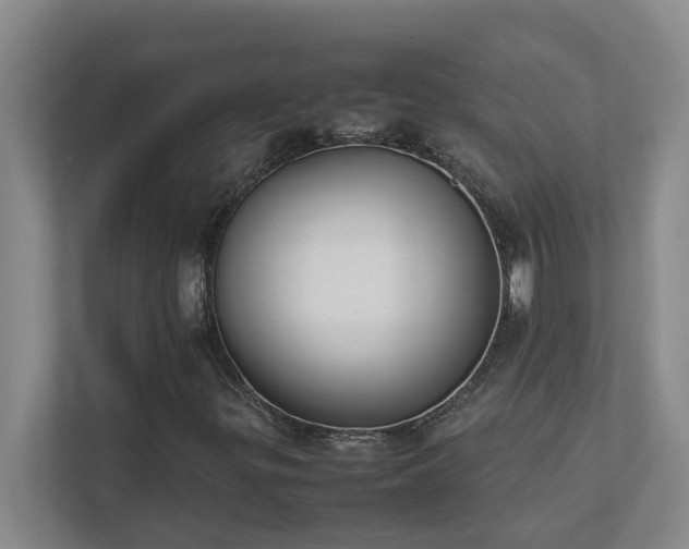 X0000111491299200907211001