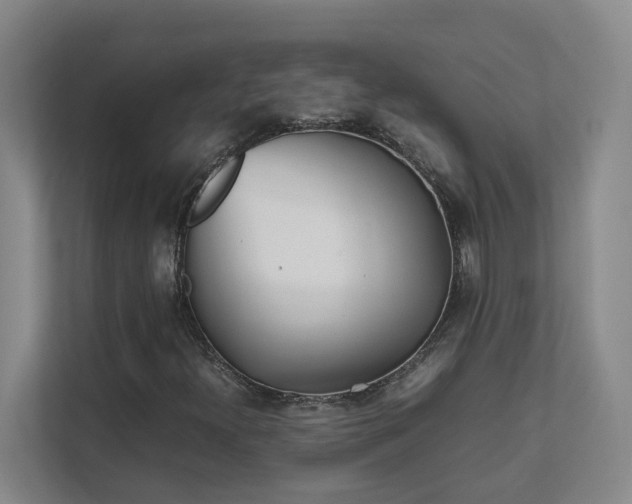 X0000111491300200907211001