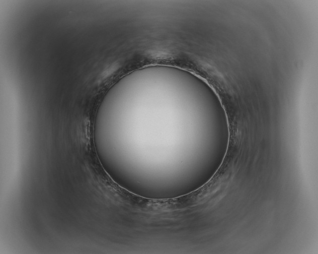 X0000111491301200907211001