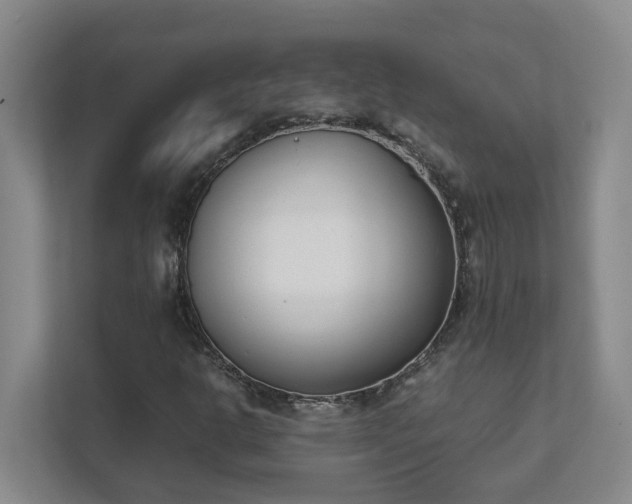 X0000111491302200907211001