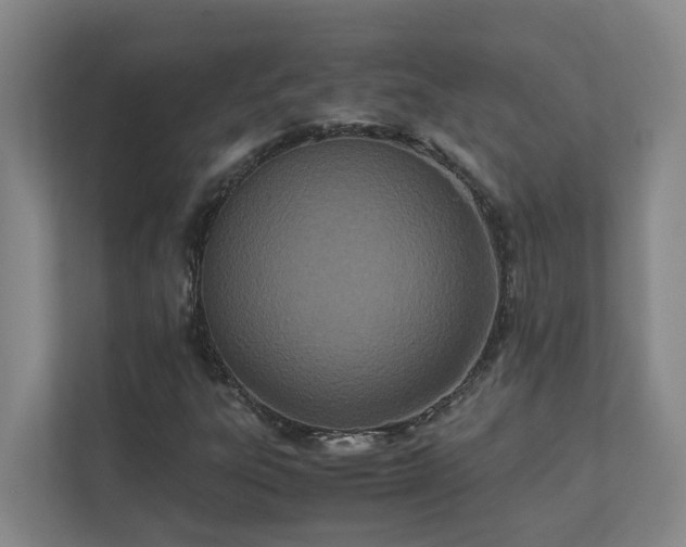 X0000111491303200907211001