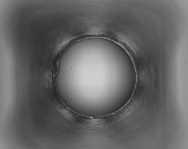 X0000111491304200907211001