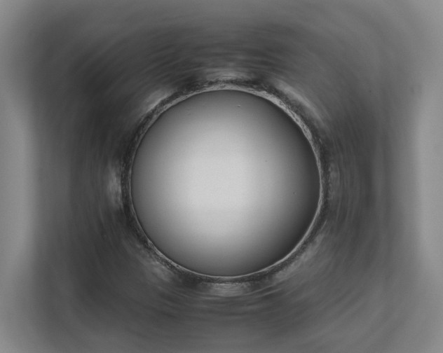 X0000111491305200907211001