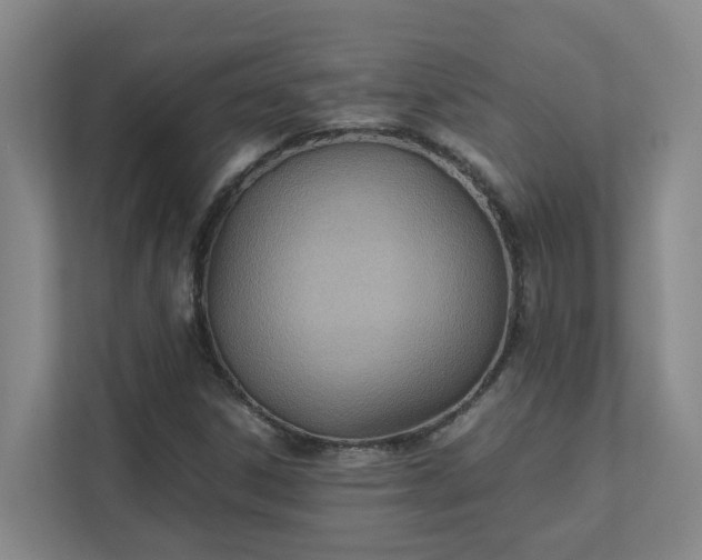 X0000111491306200907211001