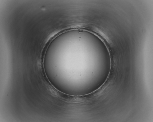 X0000111491308200907211001