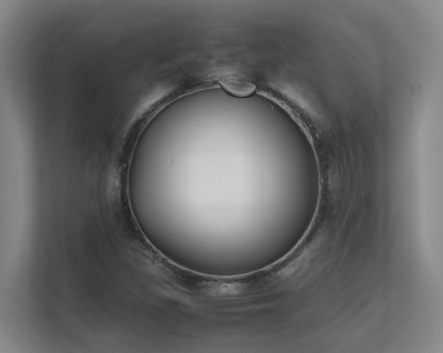 X0000111491309200907211001