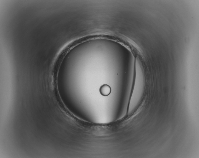 X0000111491310200907211001