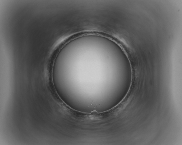 X0000111491311200907211001