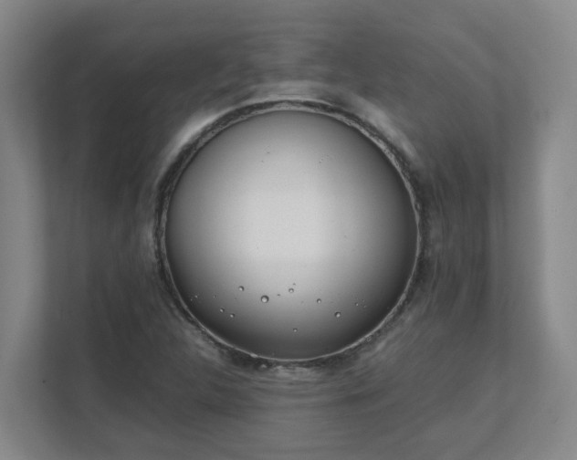 X0000111491312200907211001