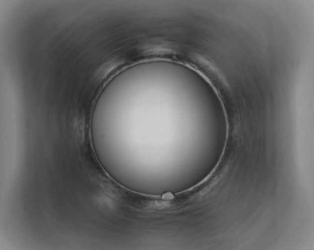 X0000111491313200907211001