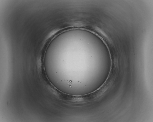 X0000111491315200907211001