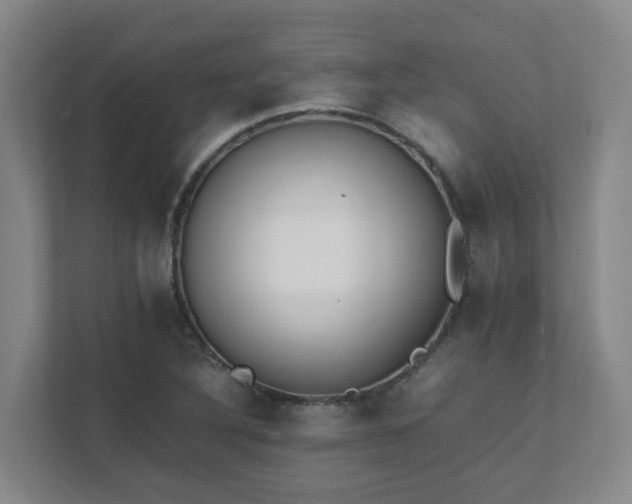 X0000111491316200907211001