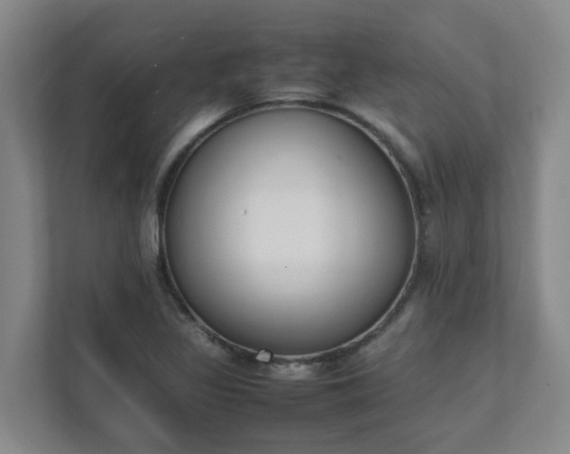 X0000111491317200907211001