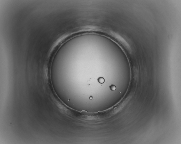 X0000111491318200907211001