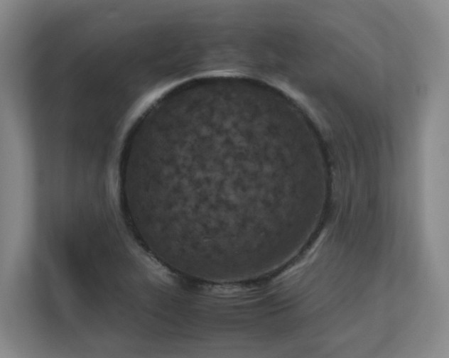 X0000111491319200907211001