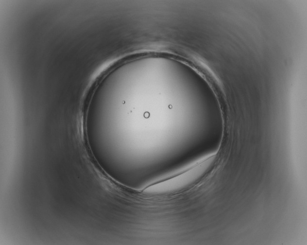 X0000111491320200907211001