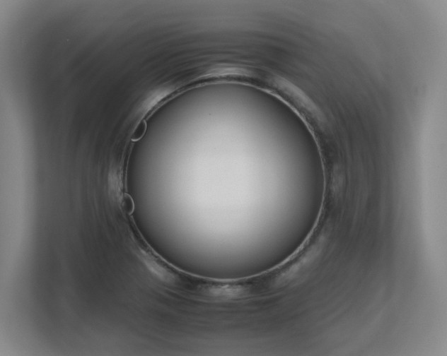 X0000111491321200907211001