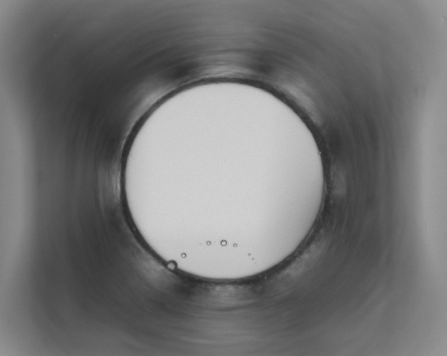 X0000111491322200907211001