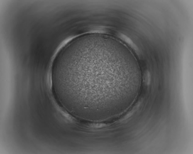 X0000111491323200907211001