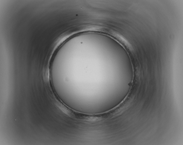 X0000111491324200907211001