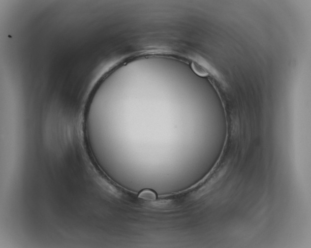 X0000111491325200907211001