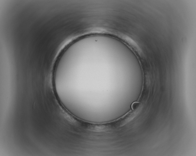 X0000111491326200907211001