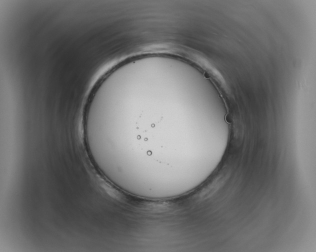 X0000111491328200907211001