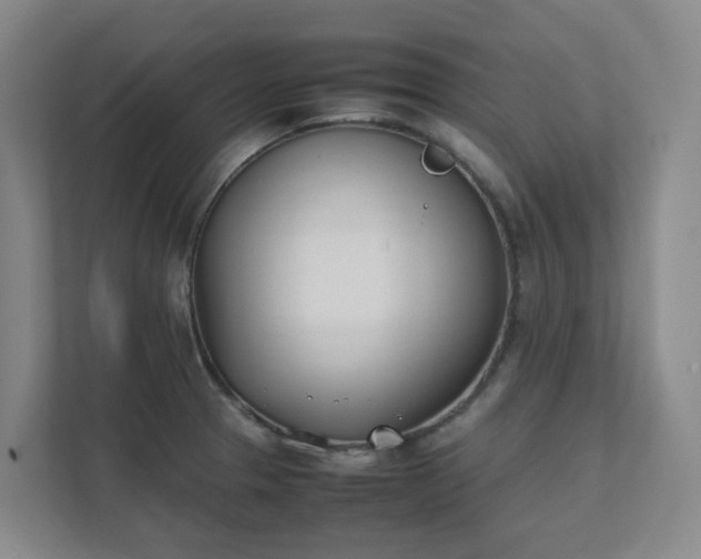 X0000111491329200907211001