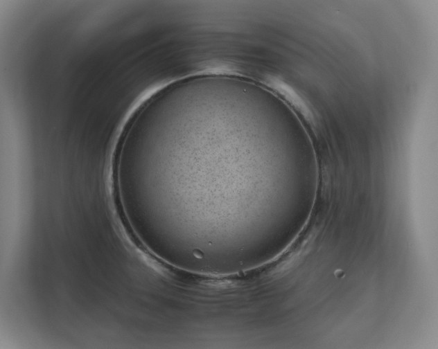 X0000111491331200907211001