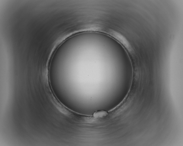 X0000111491332200907211001