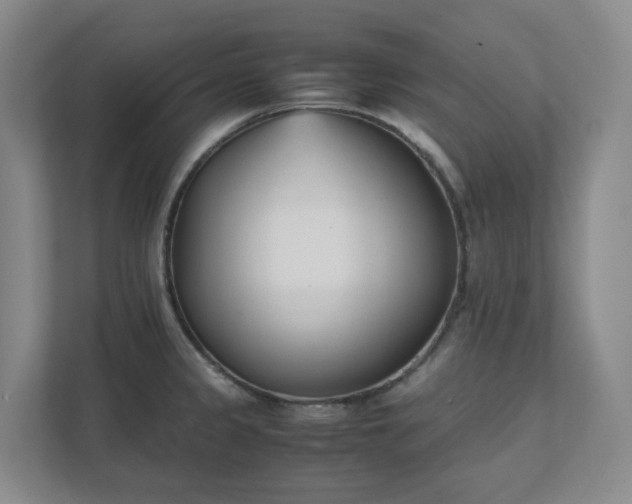 X0000111491333200907211001