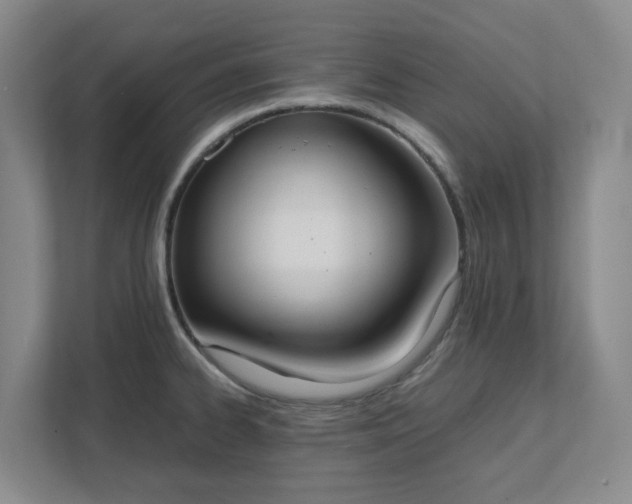 X0000111491334200907211001